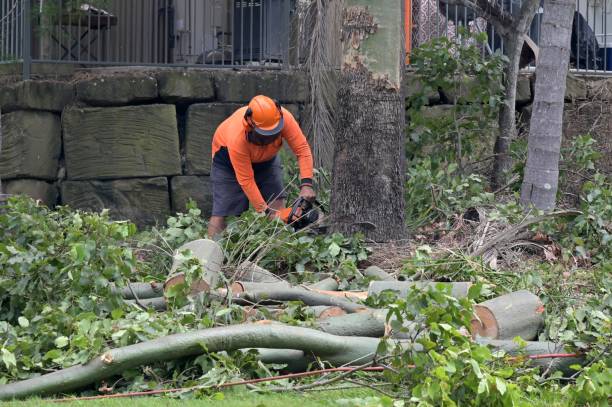 Best Residential Tree Removal  in Cera, AL